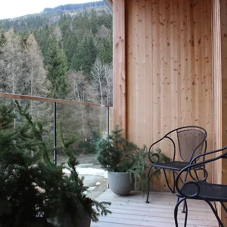 Medvedin 205 * Spindleruv Mlyn